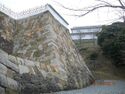 Tomioka9.jpg