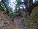 Usami nakoyama quarry30.jpg