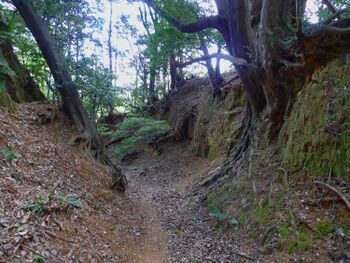 Usami nakoyama quarry30.jpg