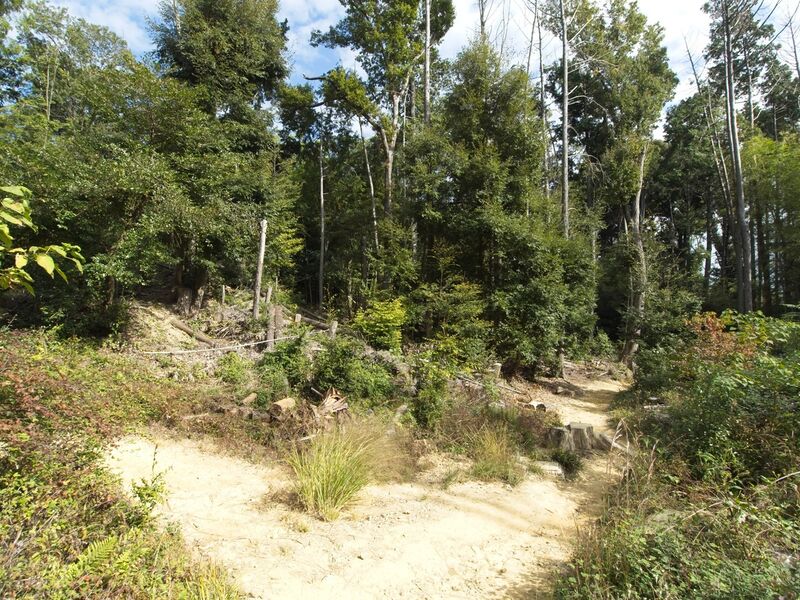 File:Yamazaki6.jpg