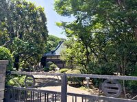 Ashikagamasauji3.jpg