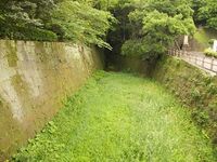 Kagoshima1.jpg