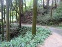 MinakuchiOkayama (13).JPG