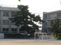 Nagashima01.JPG