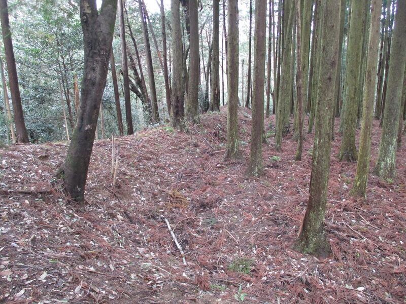 File:NorisadaKobatajou (17).jpg