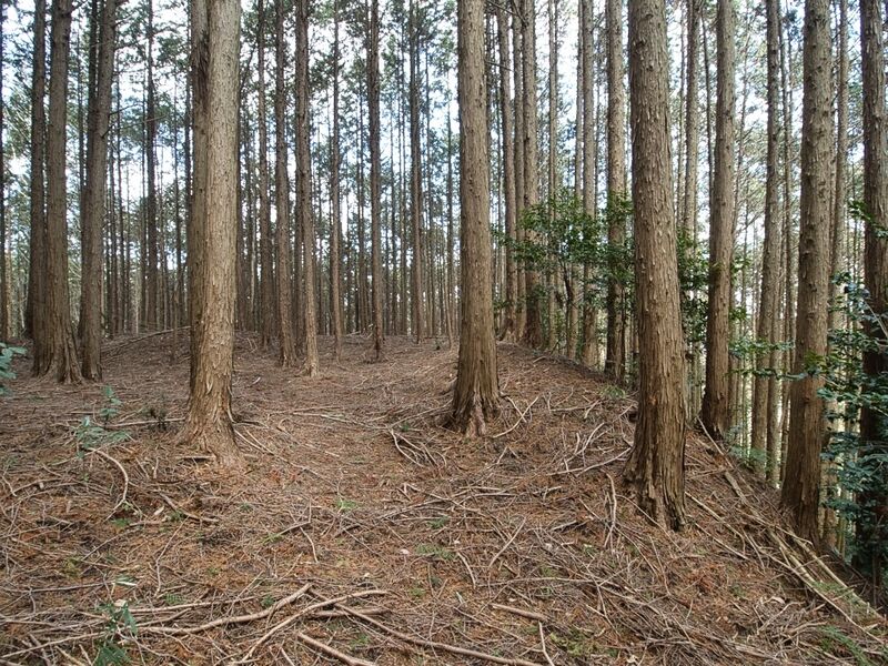 File:Shigisan26.jpg