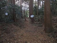 ShitaraNodajou (19).jpg
