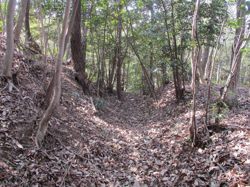File:Daitajou (51).jpg