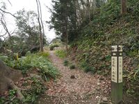 Futamata31.jpg