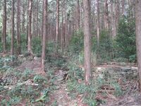 Kakutsugawajou (8).jpg
