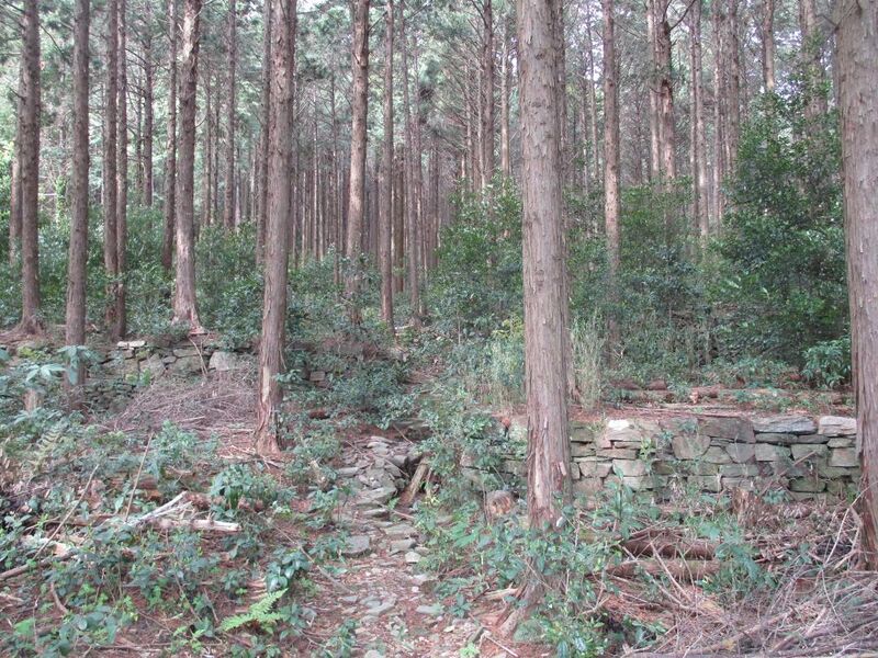 File:Kakutsugawajou (8).jpg