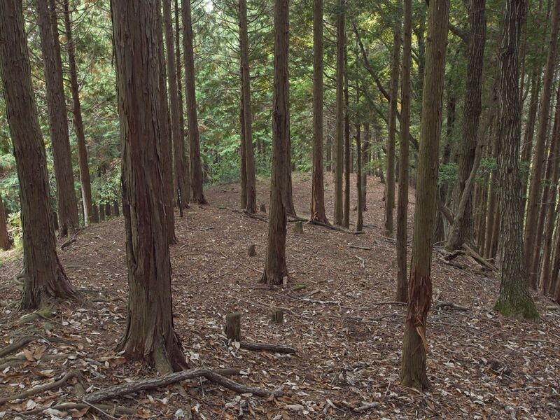 File:Kamaha57.jpg