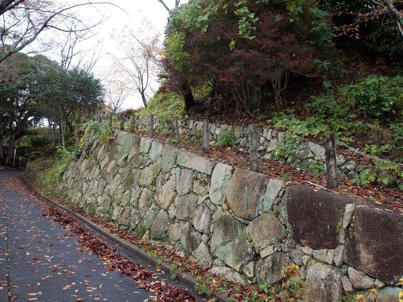 File:Kamei50.jpg