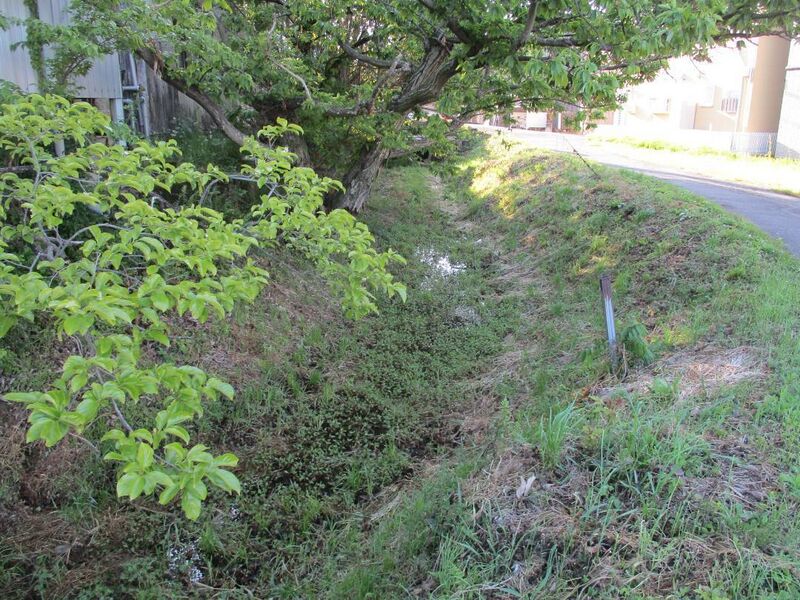 File:MaruyamaDouenjou (4).jpg