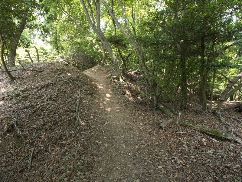 File:Nyoigatake3.jpg