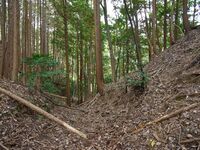 Okudanitanba16.jpg