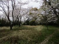 Sakujou055.jpg