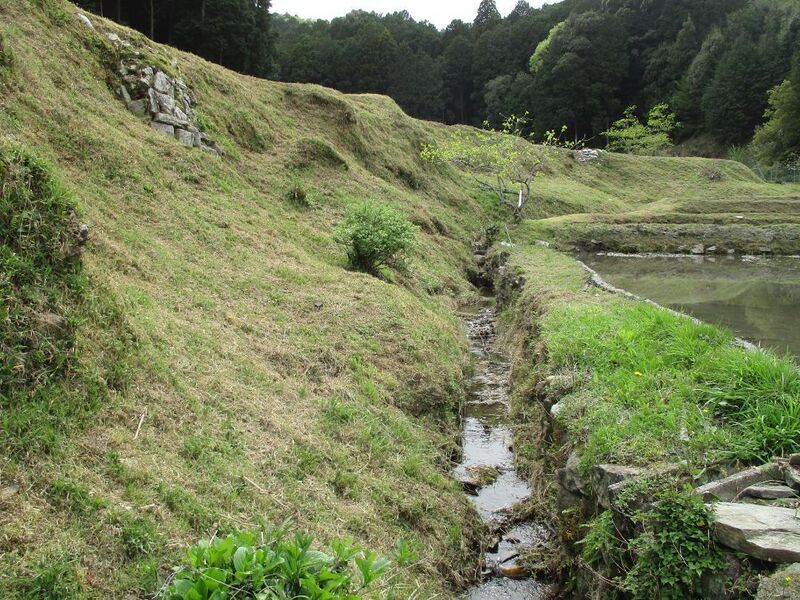 File:Tounosujou (3).jpg