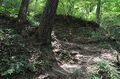 Thumbnail for version as of 13:32, 24 June 2017
