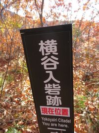 Yokoyairi-toride (3).JPG