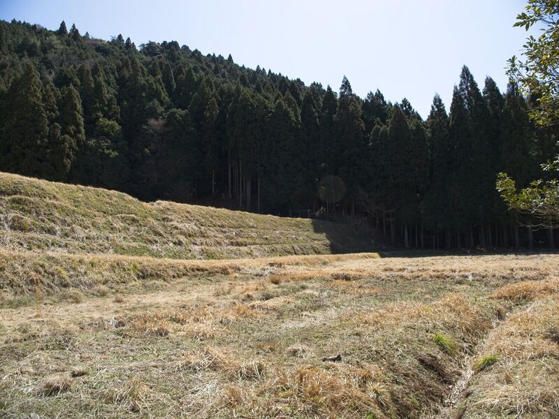 File:Ayukawa3.jpg