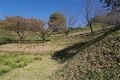 Thumbnail for version as of 13:23, 24 June 2017