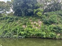 Himejimiddlemoat45.jpg