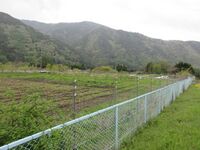 InaOhniwajou (3).JPG