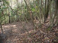 Inokurakyoto32.jpg
