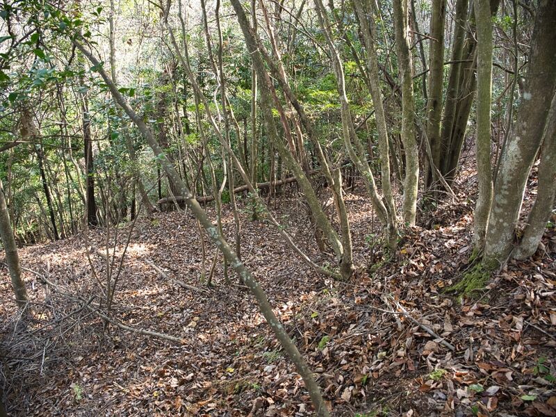 File:Inokurakyoto32.jpg