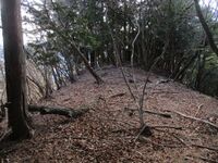 KaiMitakejou (4).jpg