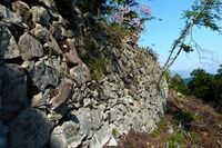 Kannonji Castle 303 Big Ishigaki 2017.jpg