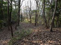Kaseyamakyoto49.jpg