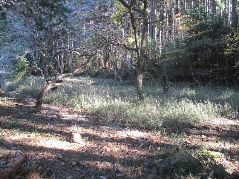 File:MikawaAsoujou (2).jpg