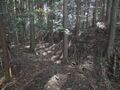 Thumbnail for version as of 14:48, 9 August 2025