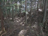 MikawaHabujou001.jpg