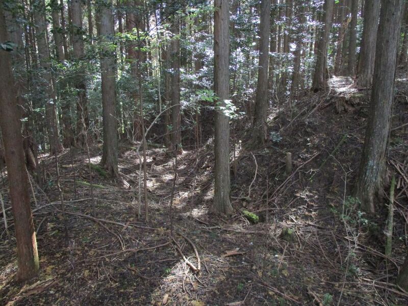 File:MikawaHabujou001.jpg