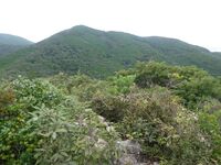 Shimizuyamajô (76).JPG