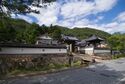 Takeda50.jpg
