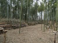 Takenaka17.jpg
