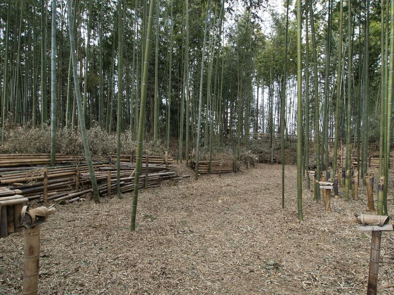 File:Takenaka17.jpg