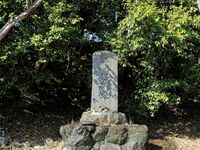 Tedori32.jpg