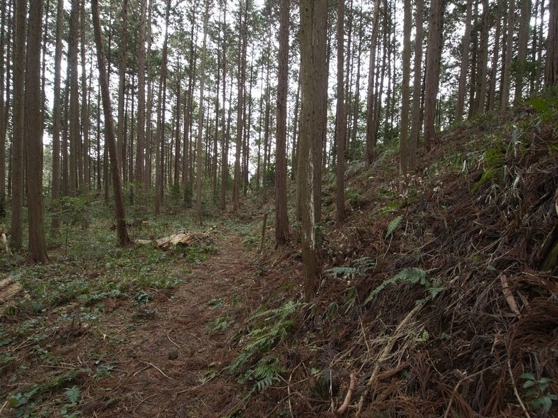 File:Wadakoka24.jpg