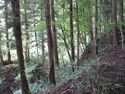 YokoseYakata (4).jpg