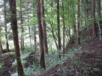YokoseYakata (4).jpg
