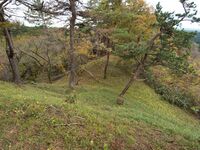 Hiyama6.jpg