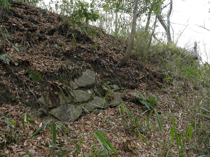 File:Iimori29.jpg