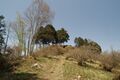 Thumbnail for version as of 08:46, 6 April 2018