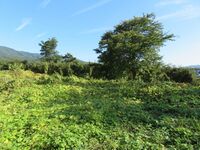 KitaKumai (44).JPG