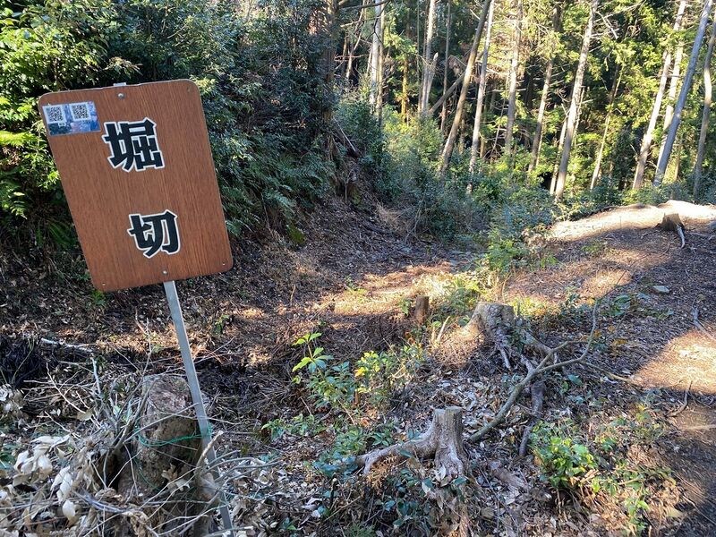 File:MikawaYamanakajouHorikiri4-3-2.jpg